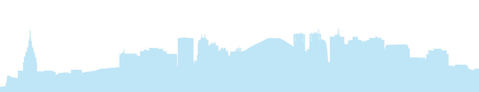 Sophia University Tokyo - Graduate Program in Global Studies - Website Design