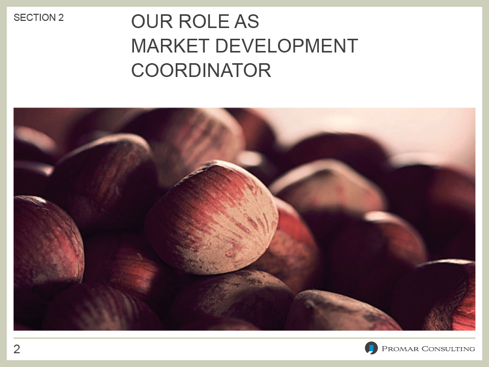 Promar Consulting - PowerPoint Presentation Template
