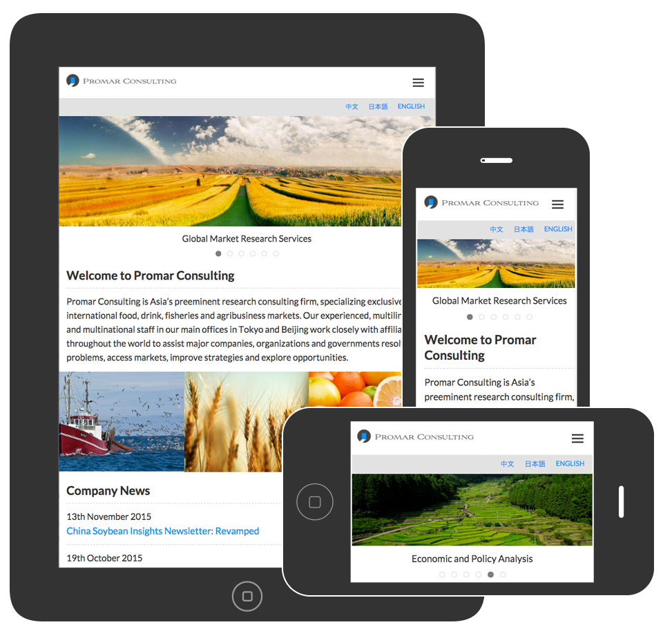 Promar Consulting - Responsive mobile friendly website