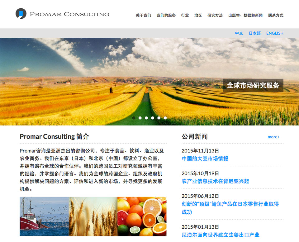 Promar Consulting - Homepage Chinese
