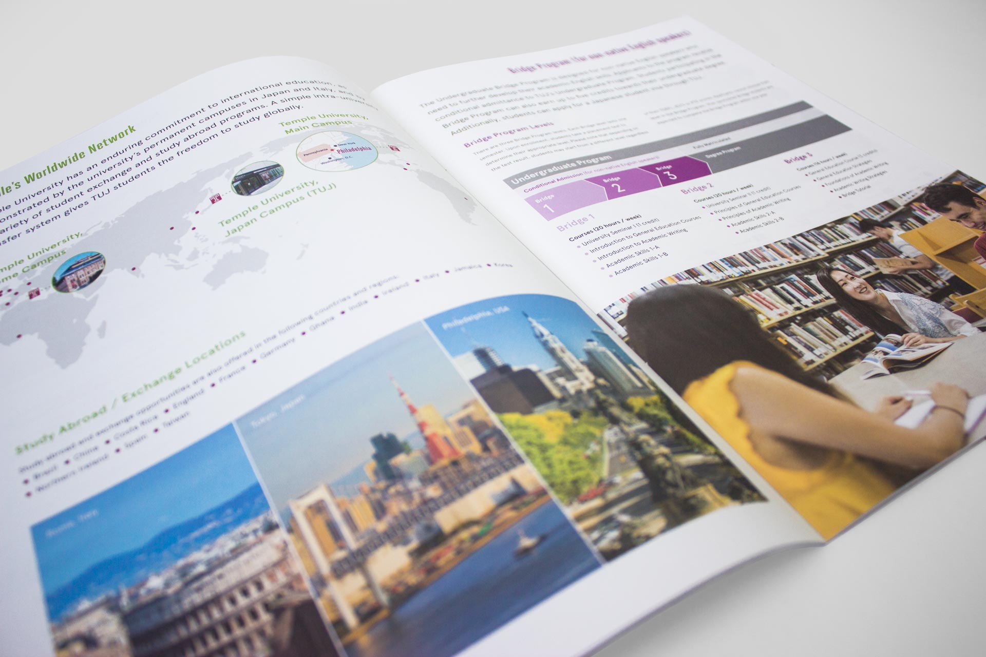 Temple University Japan in Tokyo - English Japanese Undergraduate Brochures - Print Layout Design Illustration