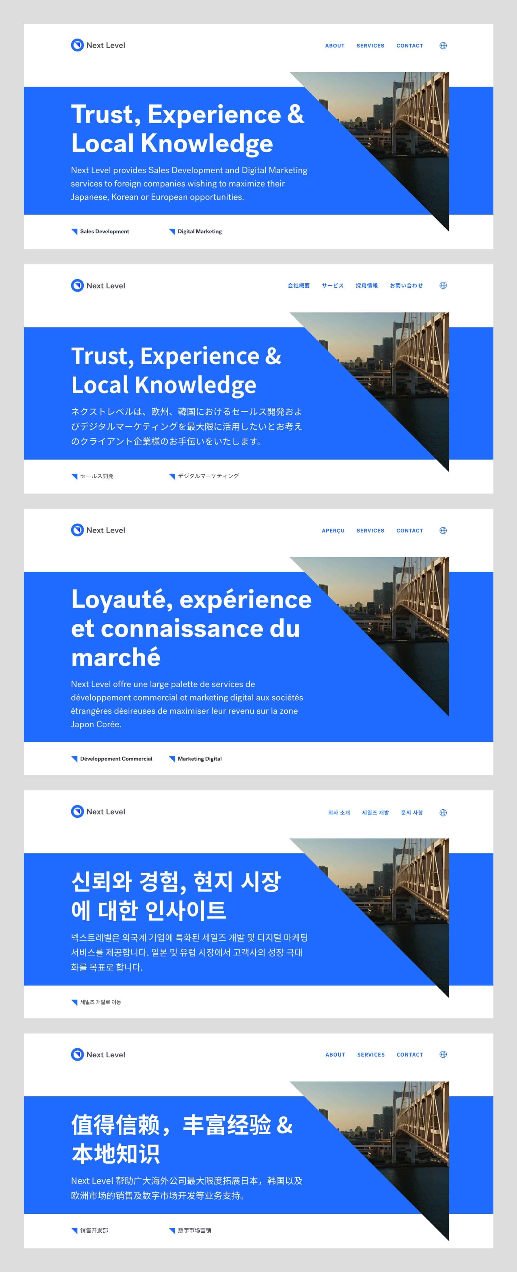 Next Level Japan Marketing - Multilingual Web Design Development