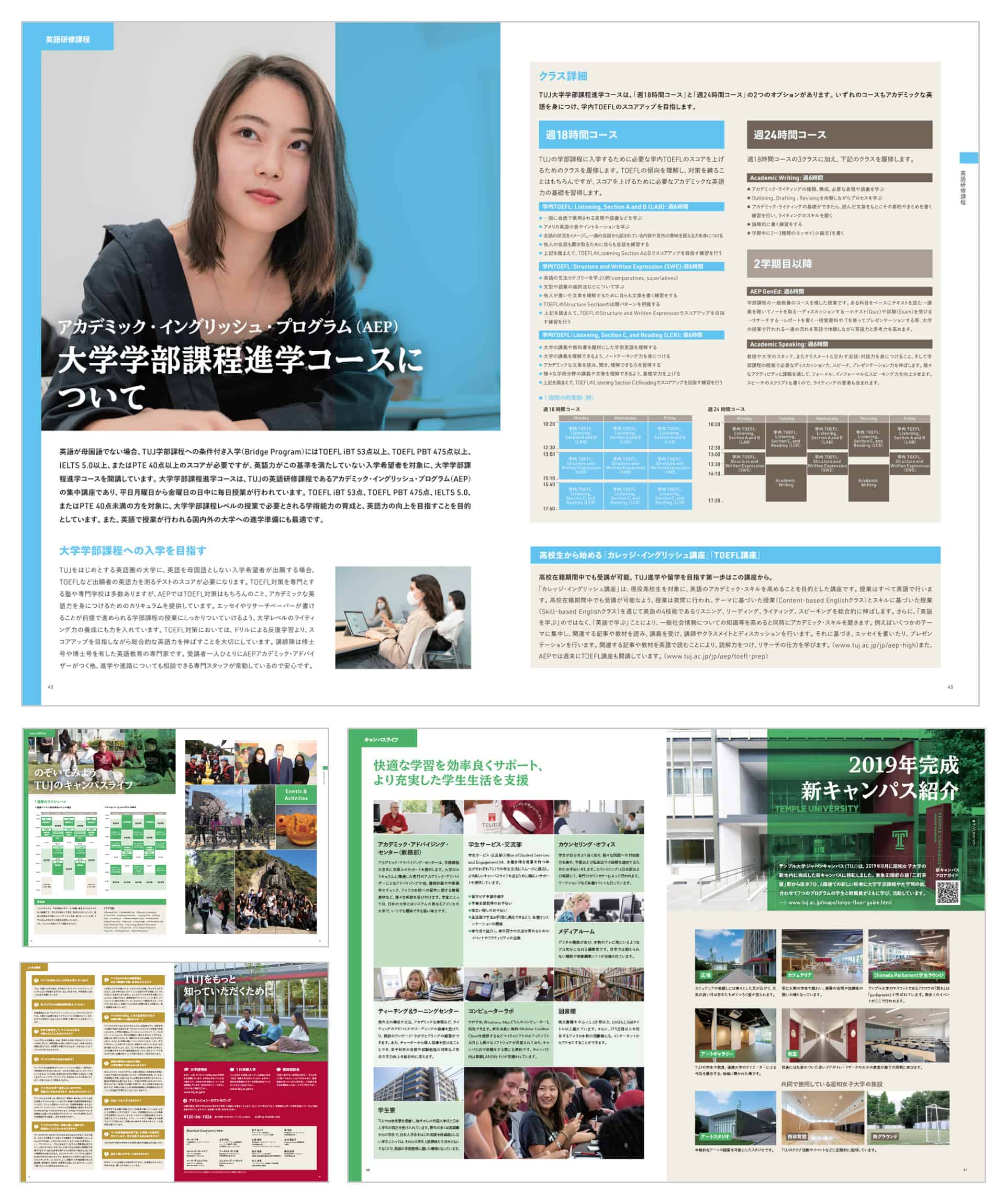 Temple University Japan - Undergraduate Brochure - Graphic Design Layout Print Japanese